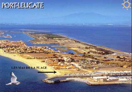 Exact Site Location - Wow!